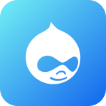 Custom Drupal Development Company