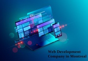 Top Web Development Company in Montreal - Optiweb Marketing