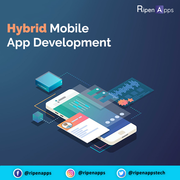 Top Hybrid Mobile App Development Company in Canada