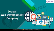 The Best Drupal Development Services In India - Call Now!