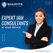 Unlock Seamless Security with SharpITS IAM Services!