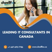 Leading IT Consultants In Canada - Dwellfox