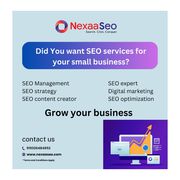 Affordable and Effective SEO with the Top 10 SEO Companies in Belapur